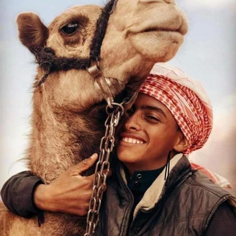 Wadi Rum Desert Heart Camp Екстериор снимка