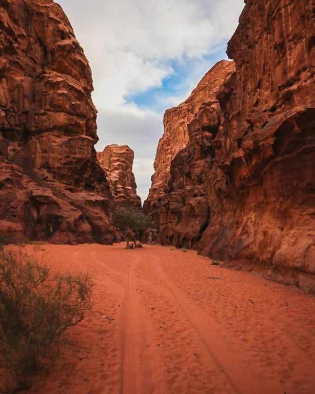 Wadi Rum Desert Heart Camp Екстериор снимка