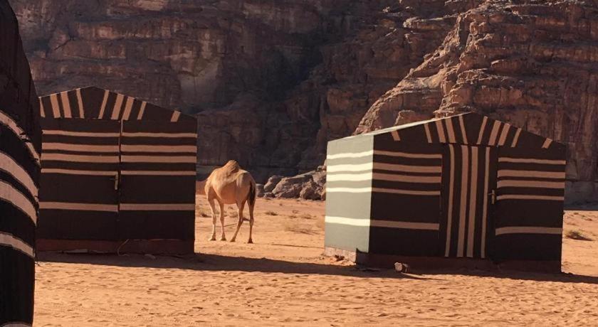 Wadi Rum Desert Heart Camp Екстериор снимка