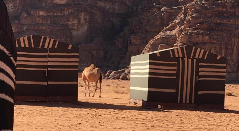 Wadi Rum Desert Heart Camp Hotel Екстериор снимка